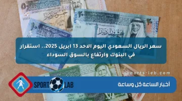 سعر الريال السعودي اليوم الأحد 13 أبريل 2025.. استقرار في البنوك وارتفاع بالسوق السوداء